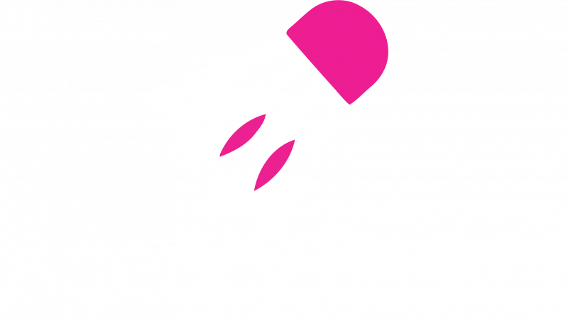 Agency Basket